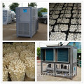 Mushroom Climate Controller for Cultivation